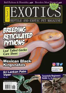 Ultimate Exotics Jan/Feb 2019