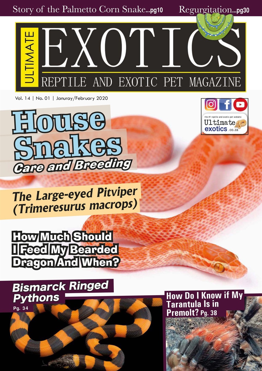 Ultimate Exotics issue January/February 2020