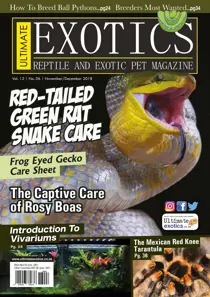 Ultimate Exotics Nov/Dec 18