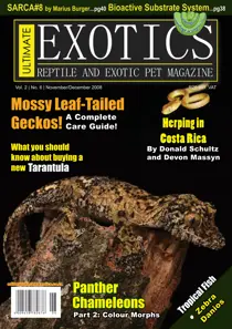 November - December 2008 
                issue November - December 2008