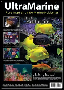 Apr/May 2018 
                issue Apr/May 2018