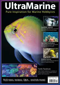 Aug/Sep 2019 
                issue Aug/Sep 2019