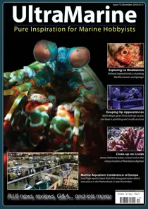 Dec 2018/Jan 2019 
                issue Dec 2018/Jan 2019