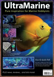 Dec'20/Jan'21 
                issue Dec'20/Jan'21