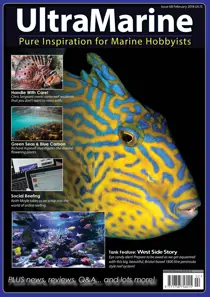 Feb/Mar 2018 
                issue Feb/Mar 2018