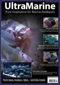 Feb/Mar 2019 
                issue Feb/Mar 2019