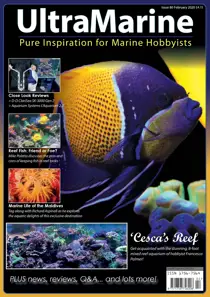 Feb/Mar 2020 
                issue Feb/Mar 2020