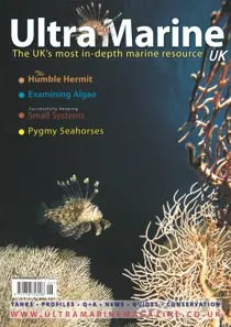 Issue 28 
                issue Issue 28