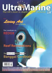 Issue 29 
                issue Issue 29