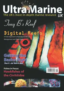 Issue 34 
                issue Issue 34