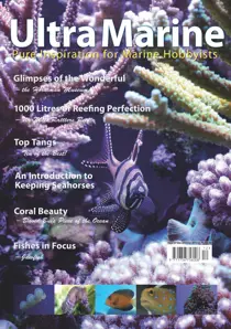 Issue 37 
                issue Issue 37