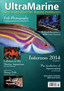 Issue 46 
                issue Issue 46