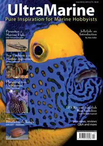 Issue 48 
                issue Issue 48