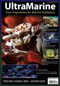 Oct/Nov 2019 
                issue Oct/Nov 2019