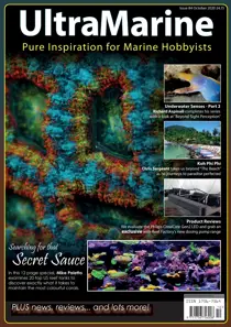 Oct/Nov 2020 
                issue Oct/Nov 2020