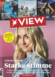 011/2021 
                issue 011/2021