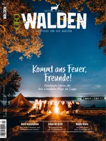 004/2021 
                issue 004/2021