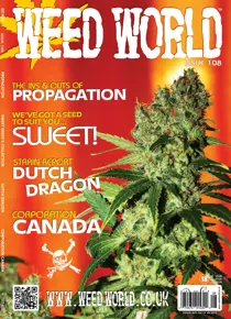 Issue 108 
                issue Issue 108