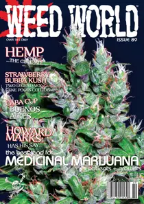 Issue 89 
                issue Issue 89