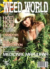 Issue 94 
                issue Issue 94