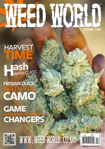 WW 120 
                issue WW 120