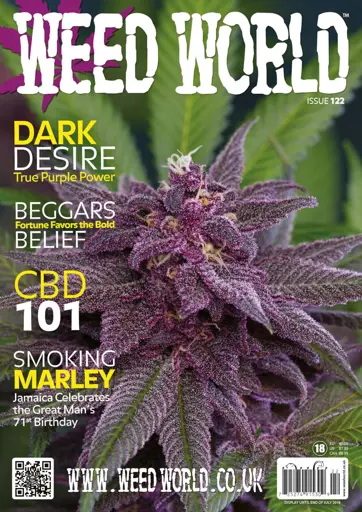 Weed World Preview