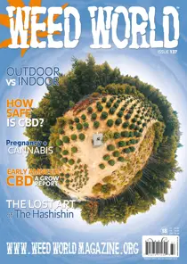 WW137 
                issue WW137