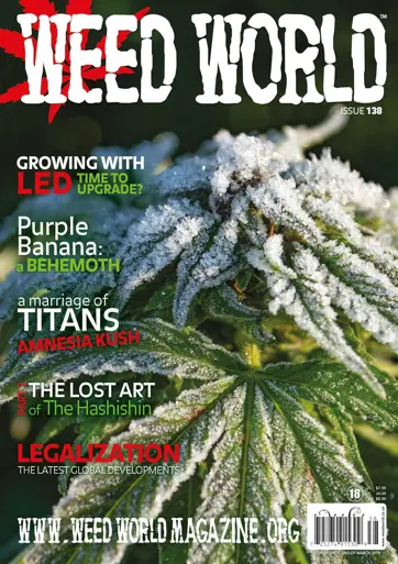 Weed World Preview