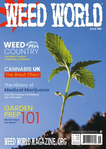 Weed World Preview