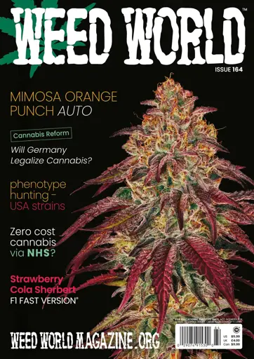 Weed World Preview