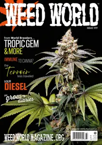 WW177 
                issue WW177