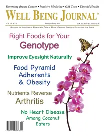 January February 2011 
                issue January February 2011