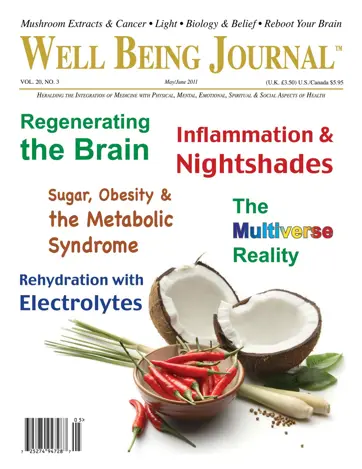 Well Being Journal Preview