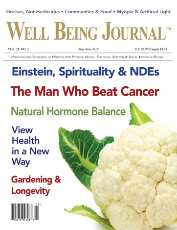 Well Being Journal Preview