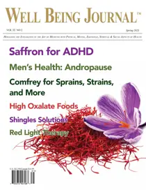 Well Being Journal Spring 2023