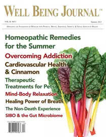 Well Being Journal Summer 2021