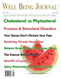 Well Being Journal Summer 2022