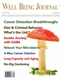 Well Being Journal Summer 2024