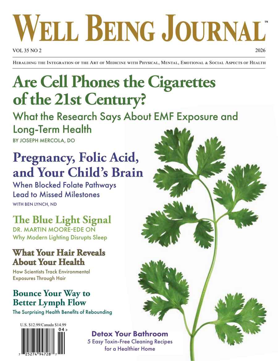 Well Being Journal issue VOL 35, NO 2, 2026