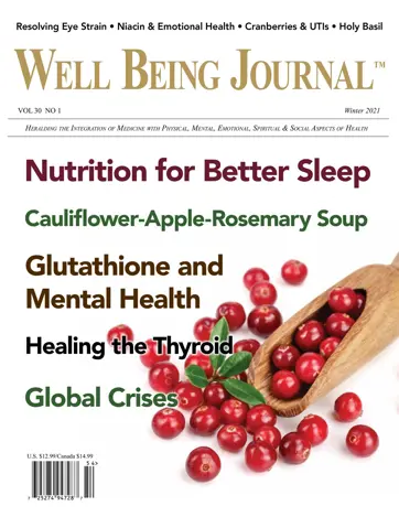 Well Being Journal Preview