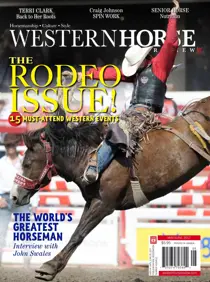 2017Issue3 
                issue 2017Issue3