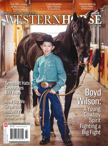 Western Horse Review Preview