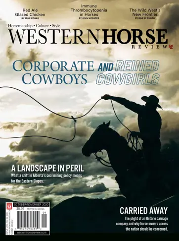 Western Horse Review Preview