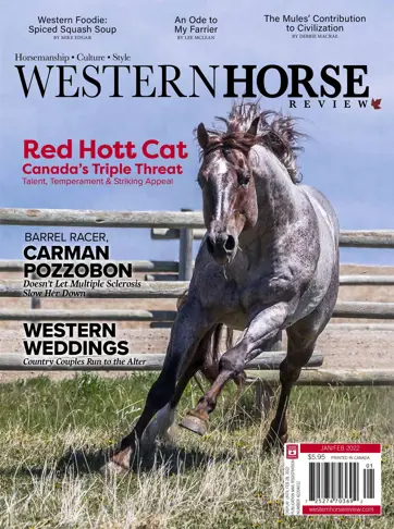 Western Horse Review Preview