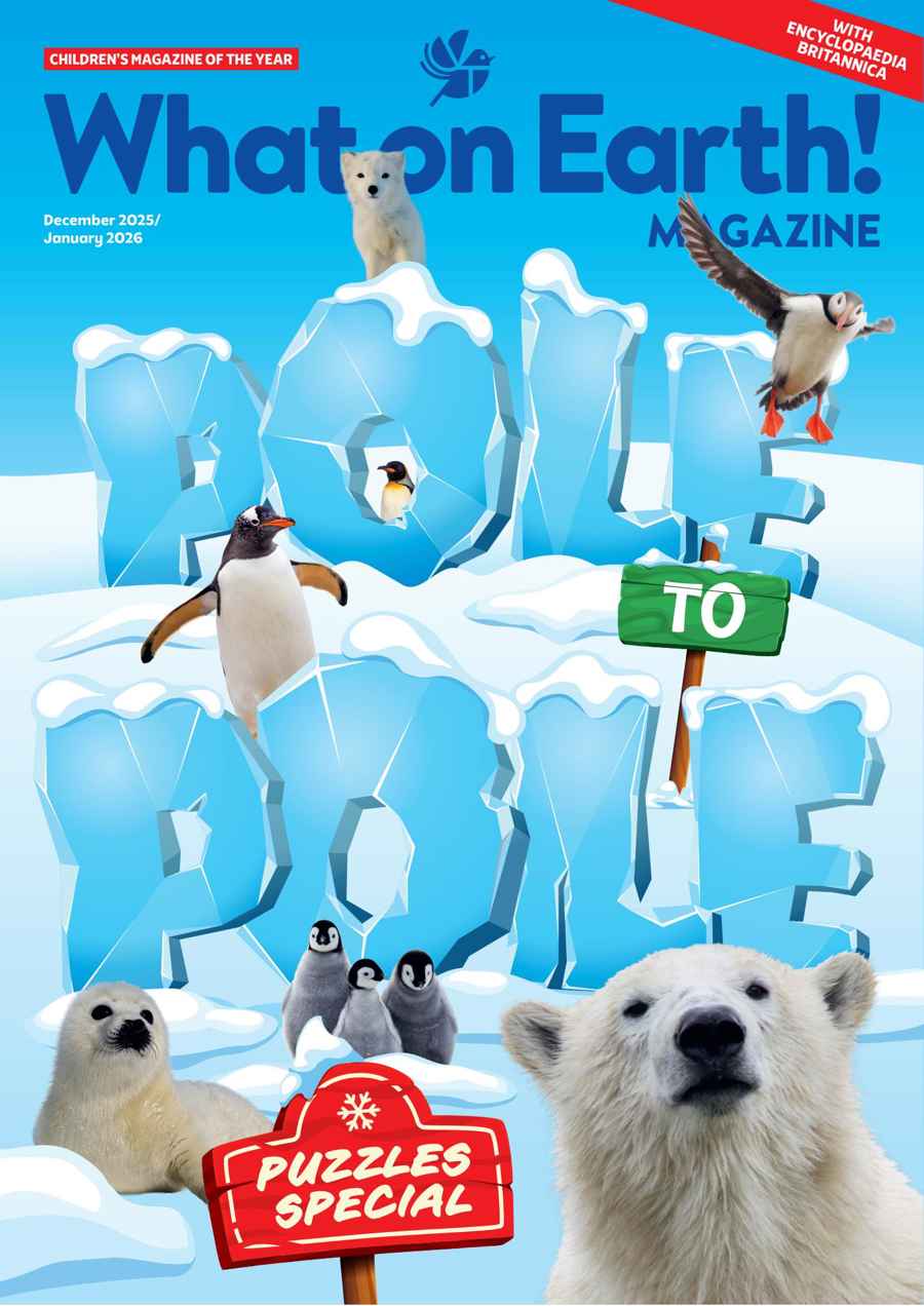 What on Earth! Magazine issue Dec/Jan 2026