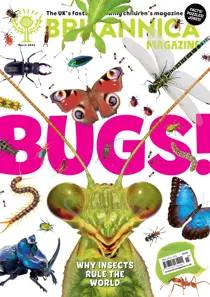 March 2023 
                issue March 2023