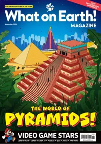 November 2024 
                issue November 2024