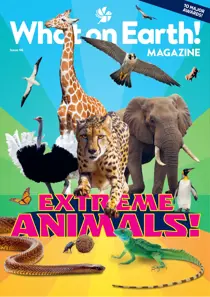 What on Earth! Magazine 
                issue October 2026
