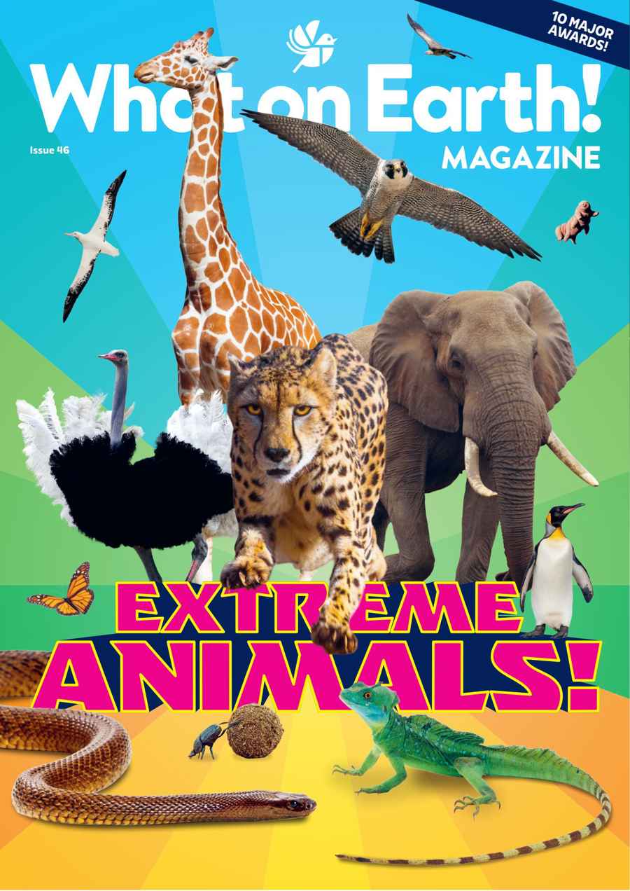 What on Earth! Magazine issue October 2026