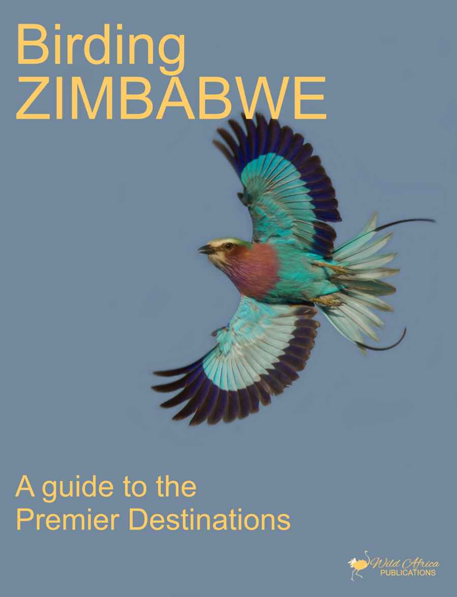 Wild Africa issue Birding Zimbabwe